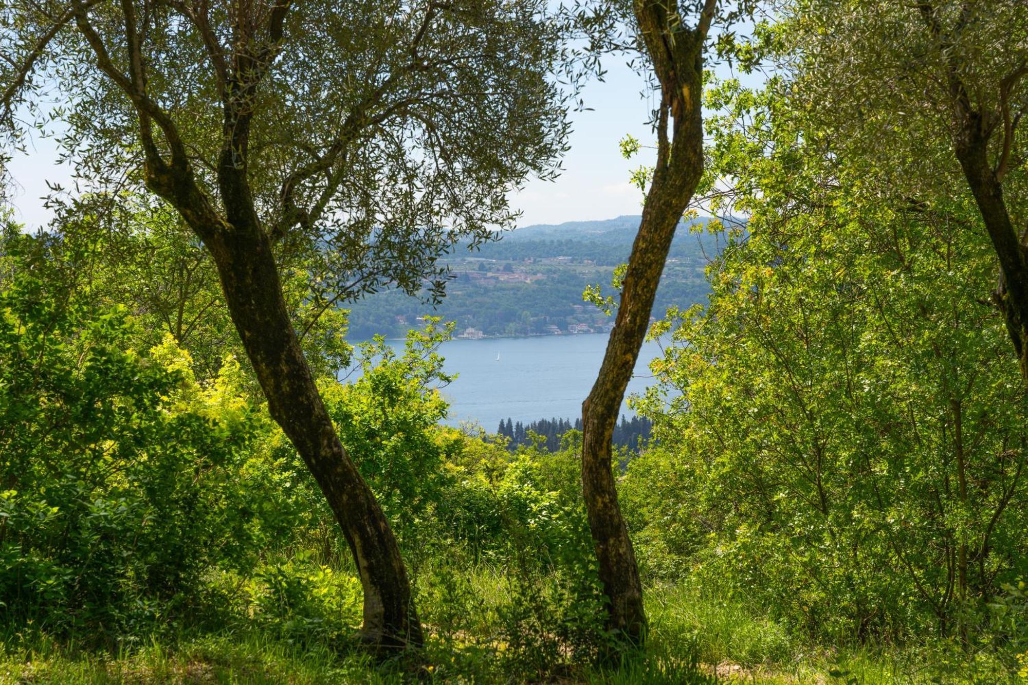 Premignaga Natural Home Gardone Riviera Exteriör bild