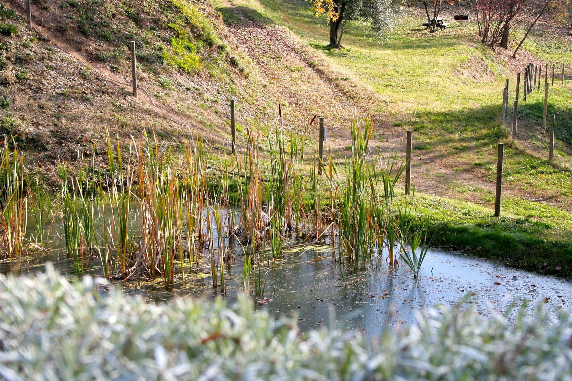 Premignaga Natural Home Gardone Riviera Exteriör bild